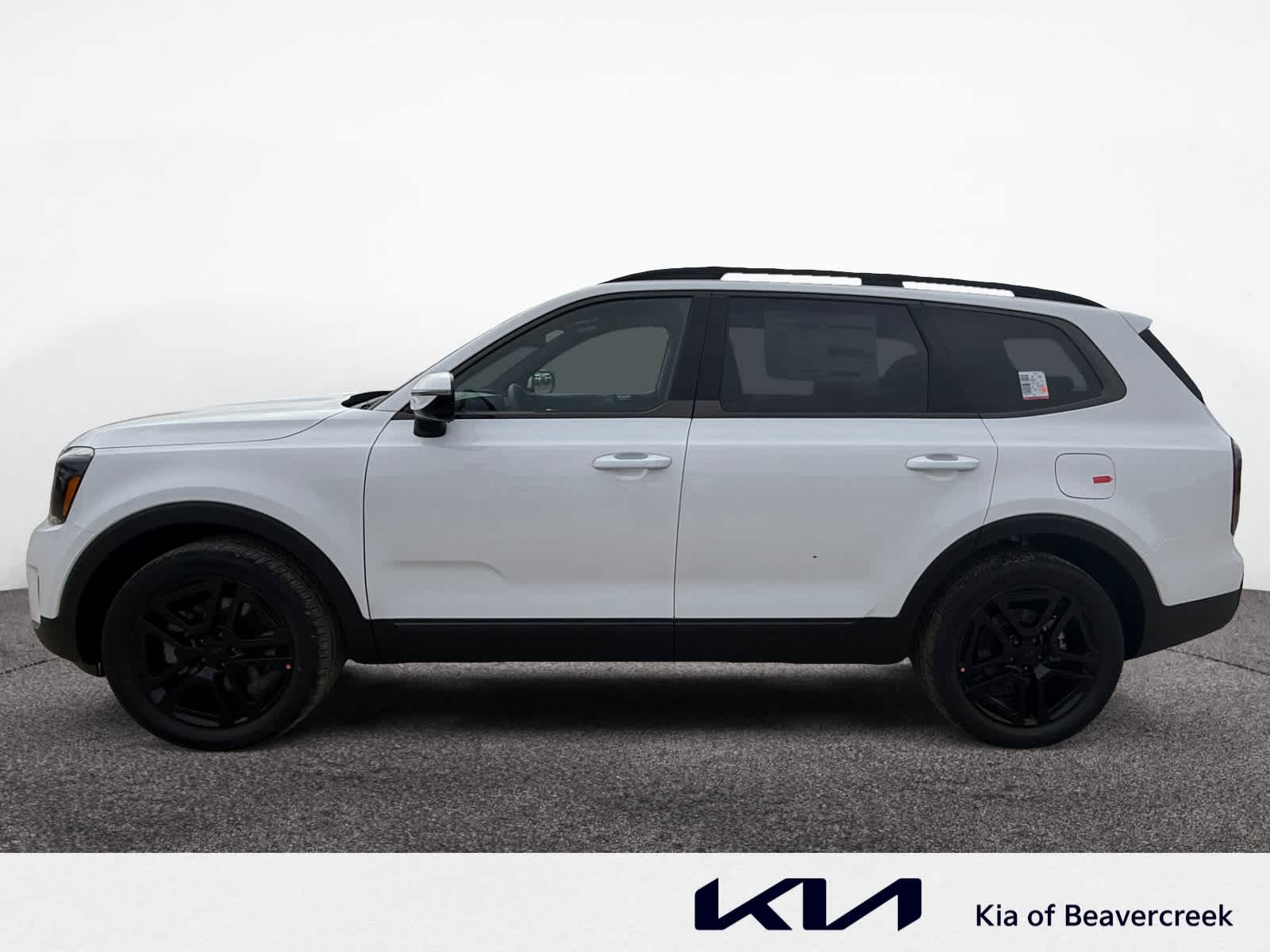 2025 Kia Telluride SX Prestige X-Line photo 2