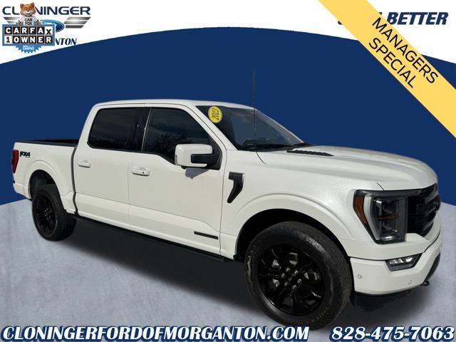 2023 Ford F-150 Platinum's photo