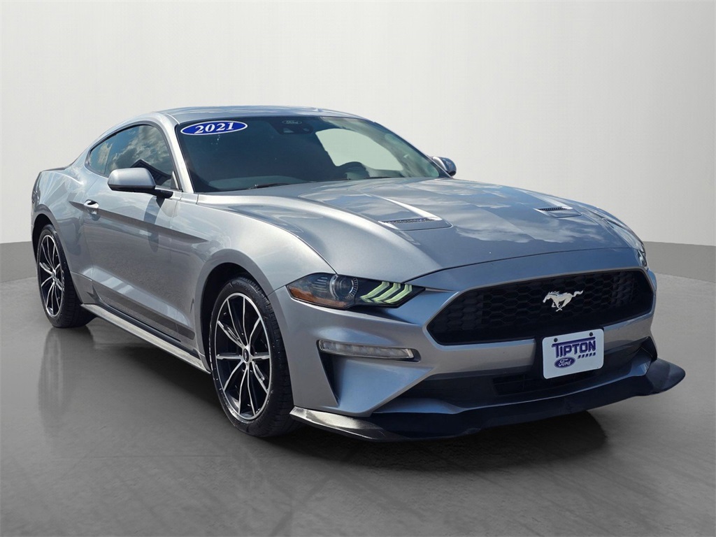 2021 Ford Mustang EcoBoost photo 3