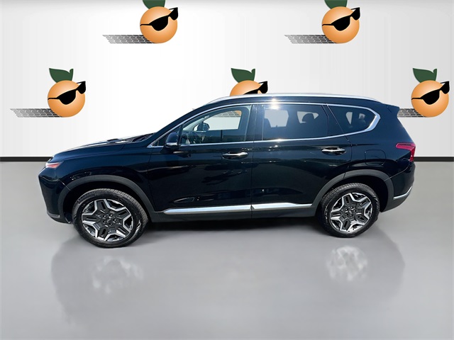 2023 Hyundai Santa Fe Limited photo 3