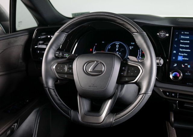 2024 Lexus RX 350h Luxury photo 13
