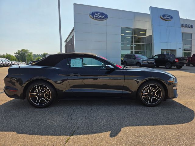 2023 Ford Mustang EcoBoost Premium photo 19