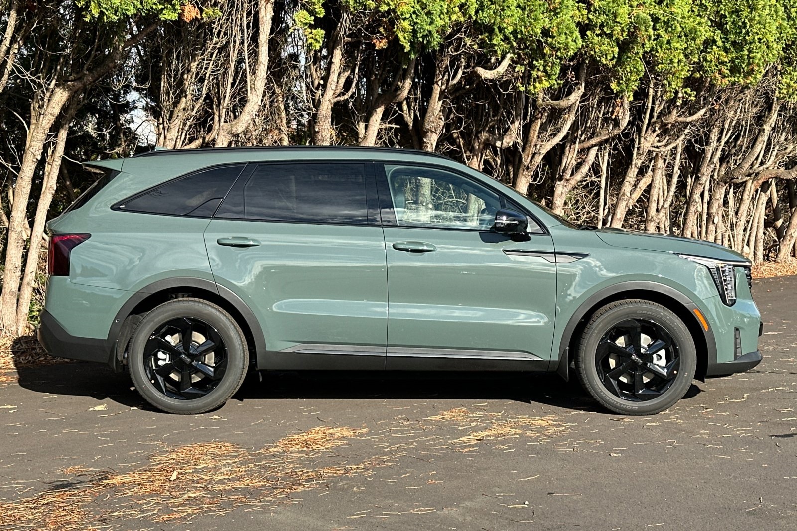 2026 Kia Sorento Hybrid X-Line SX Prestige photo 2