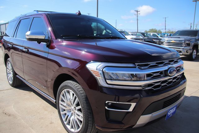 2023 Ford Expedition Platinum photo 2