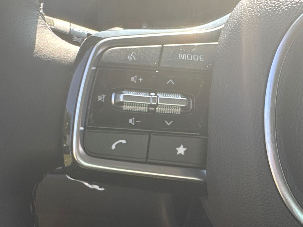 2026 Kia Carnival SX Prestige photo 23