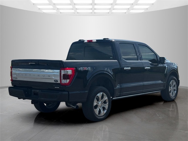 2021 Ford F-150 Platinum photo 6
