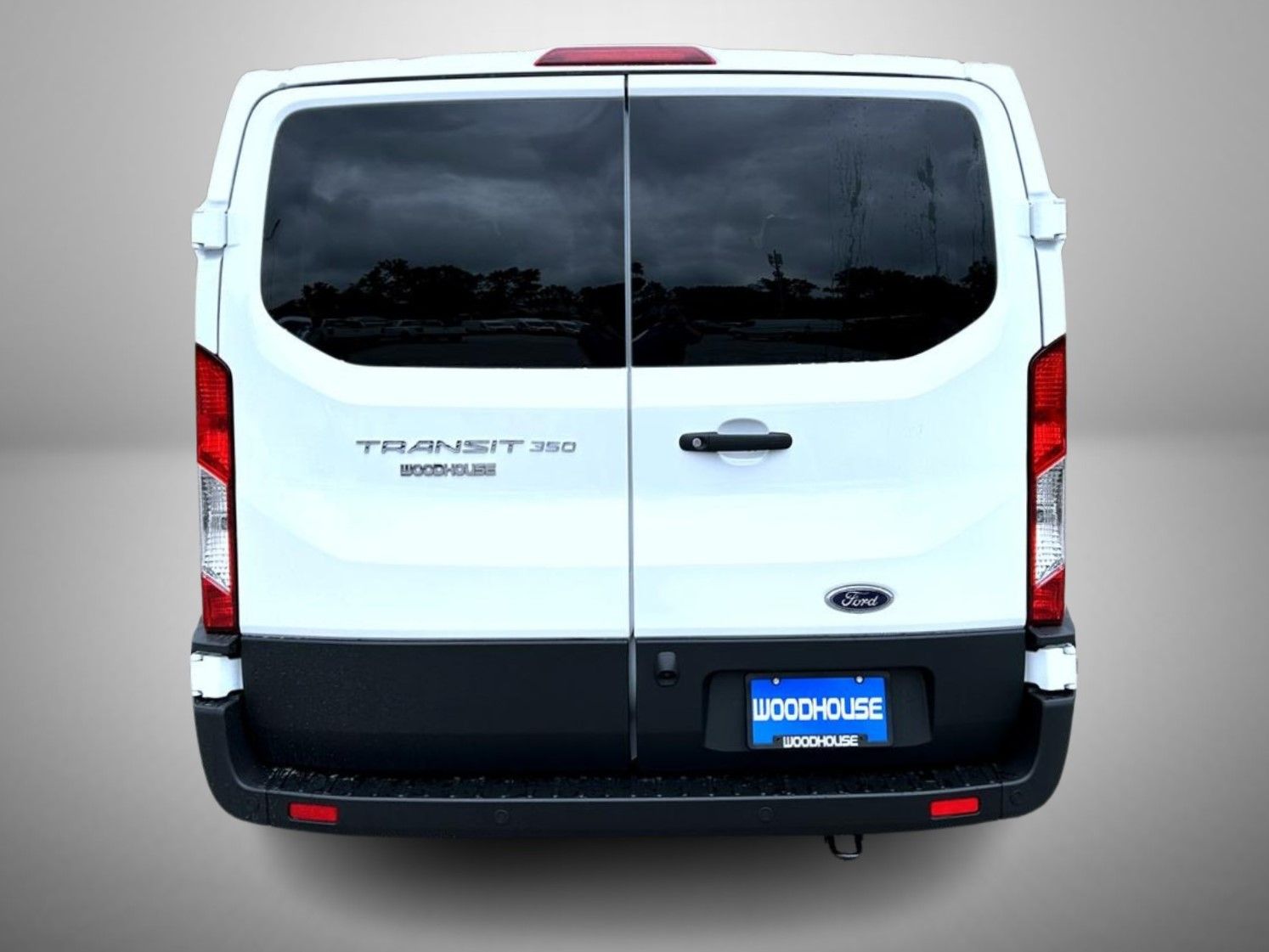 2025 Ford Transit XLT Passenger photo 4