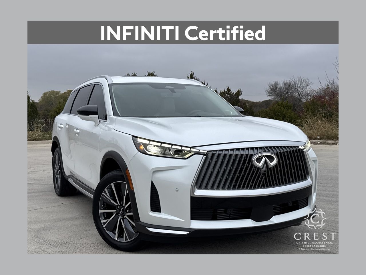 2026 INFINITI QX60 LUXE's photo