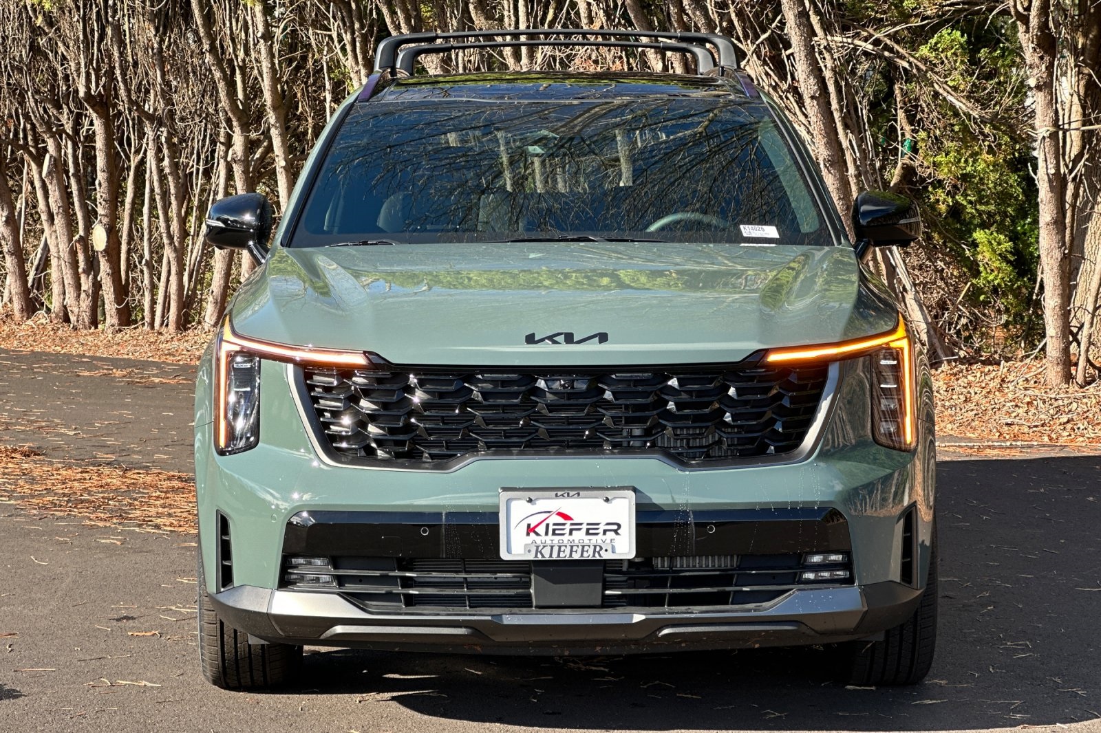 2026 Kia Sorento Plug-In Hybrid SX Prestige photo 4