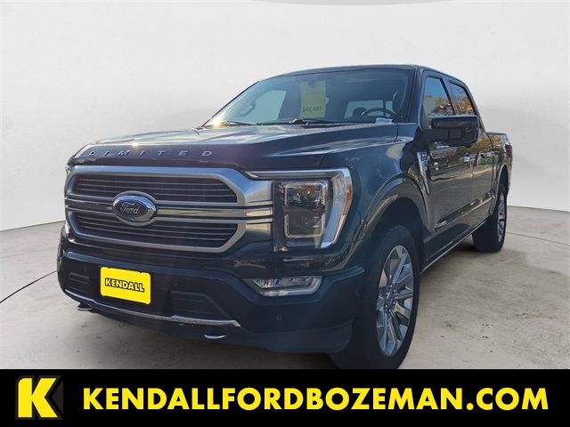 2021 Ford F-150 Limited's photo