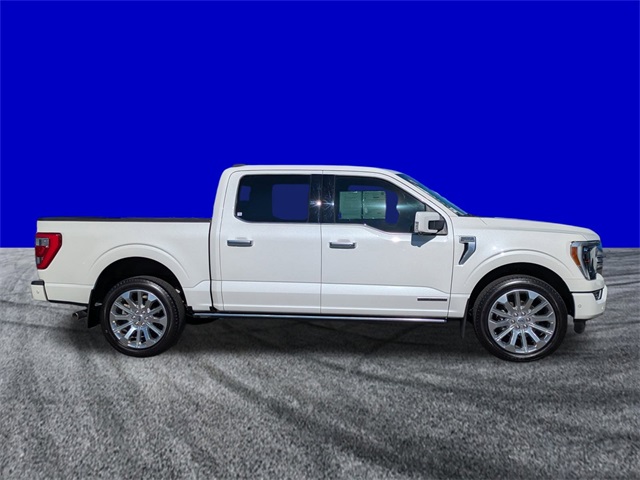 2023 Ford F-150 Limited photo 3