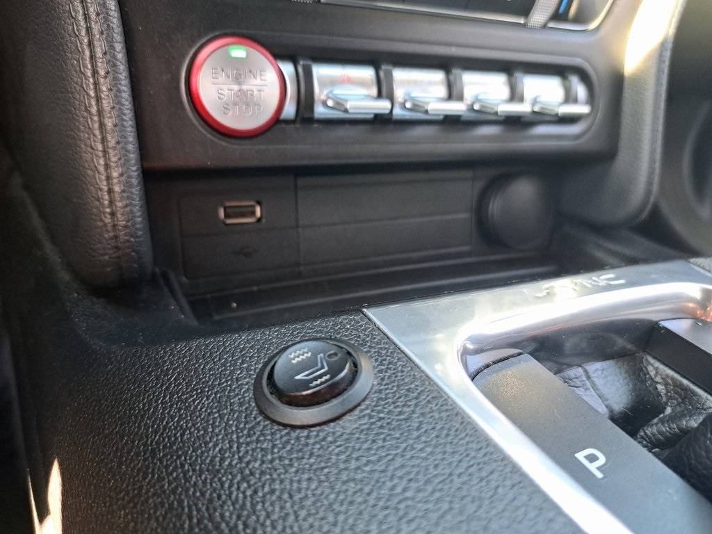 2020 Ford Mustang EcoBoost Convertible photo 15