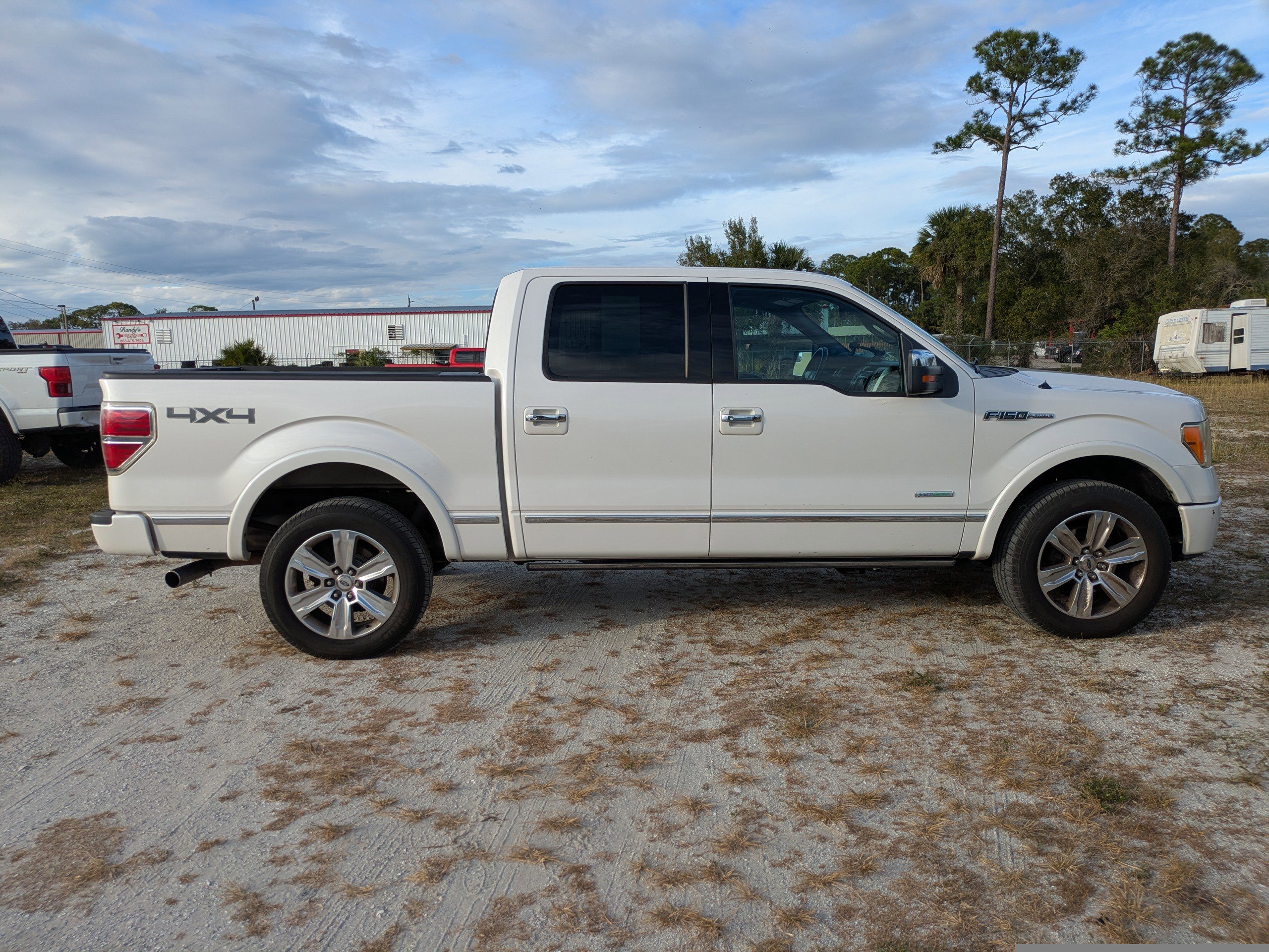 2012 Ford F-150 Platinum photo 3