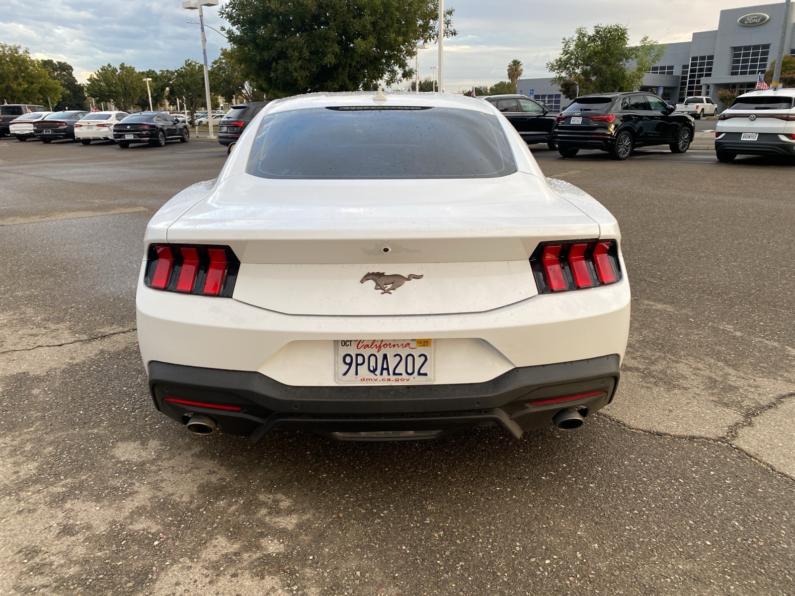 2024 Ford Mustang EcoBoost Premium photo 5
