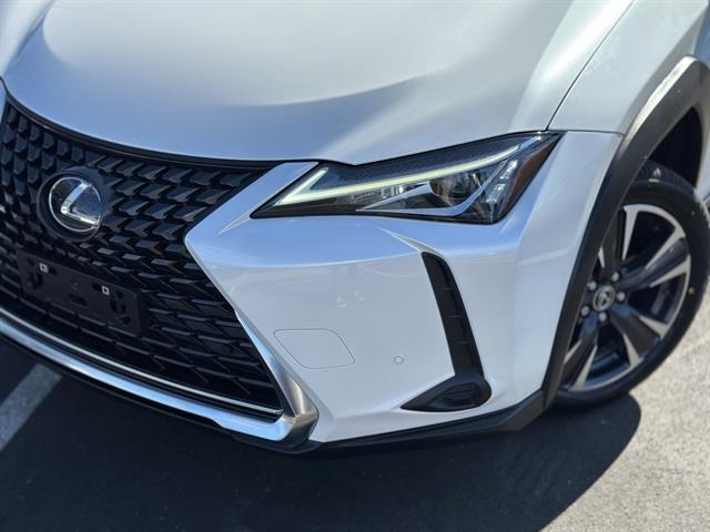 2021 Lexus UX 250h photo 2