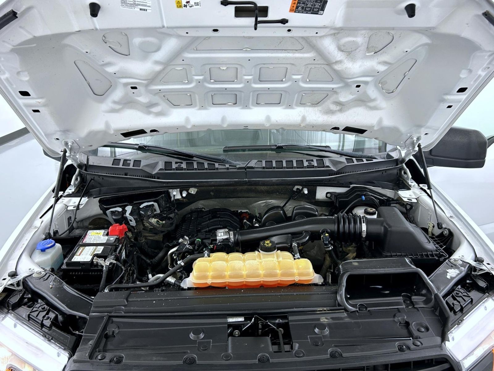 2020 Ford F-150 XL photo 20