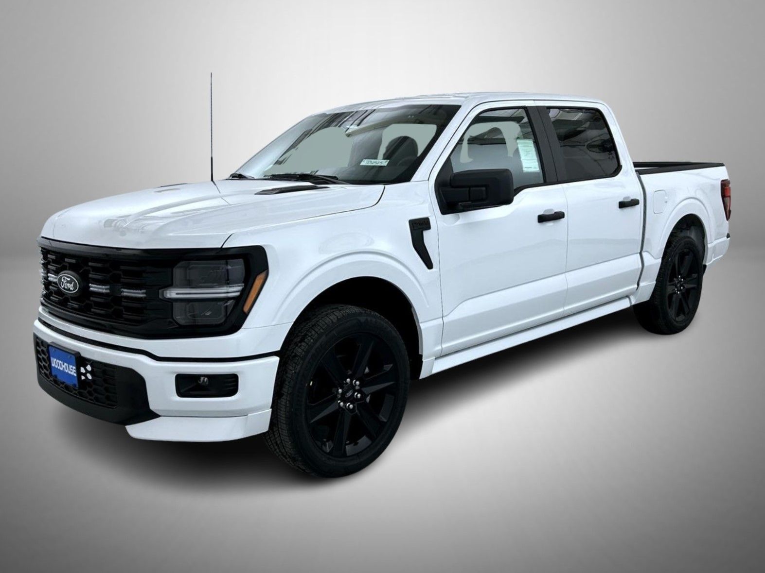 2025 Ford F-150 STX's photo