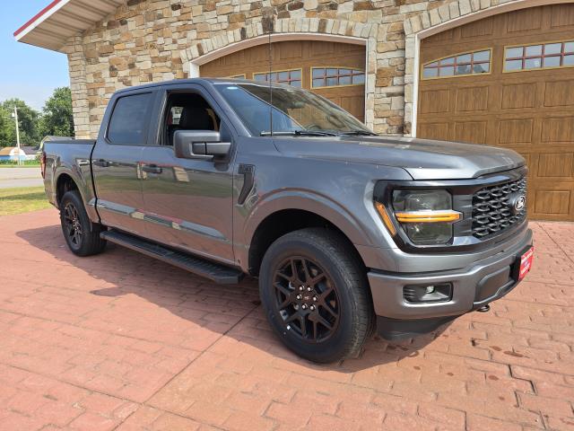 2025 Ford F-150 STX's photo