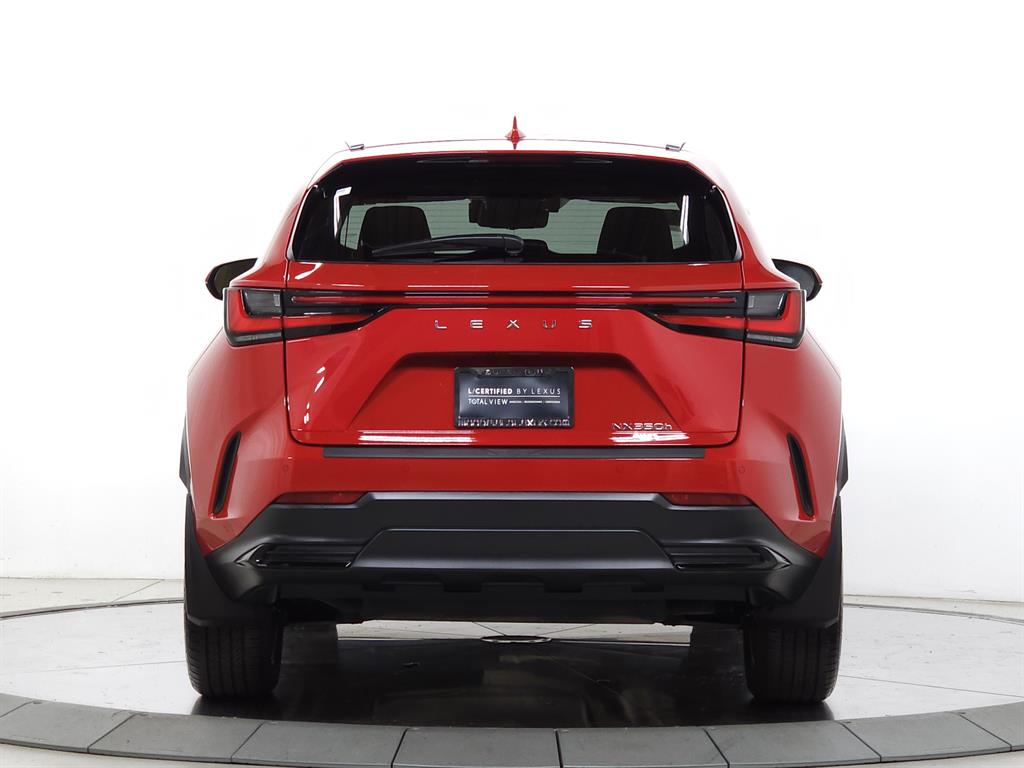 2025 Lexus NX 350h Luxury photo 6