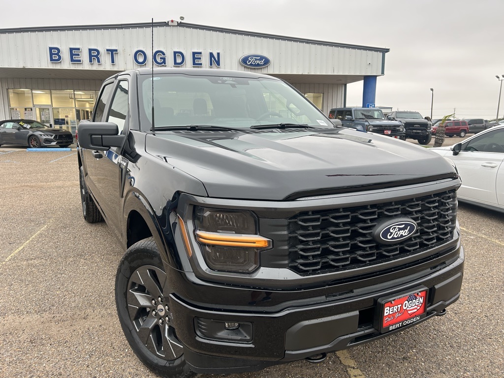 2025 Ford F-150 STX's photo