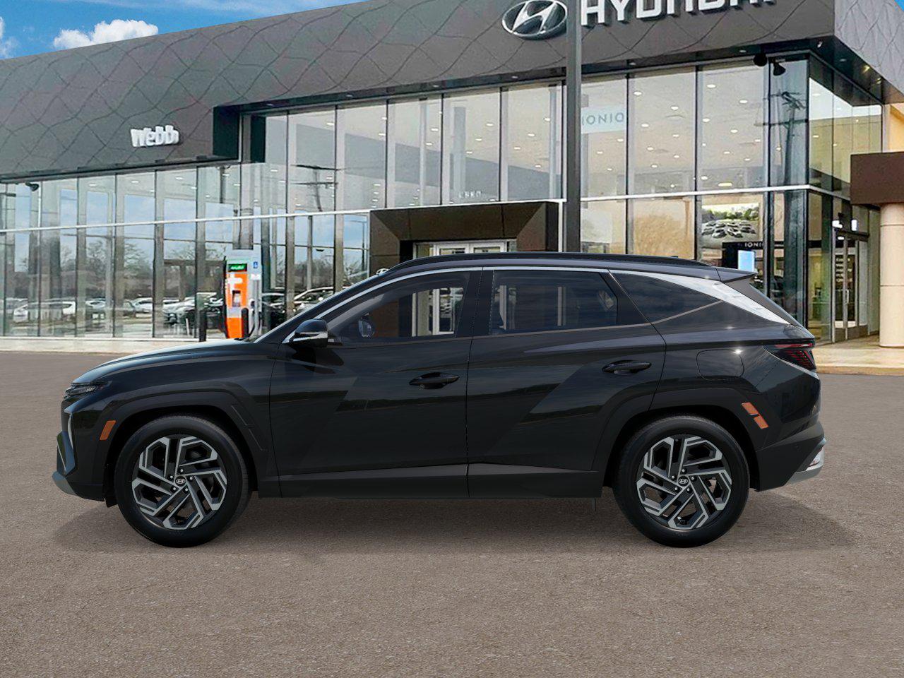 2026 Hyundai Tucson Limited photo 3