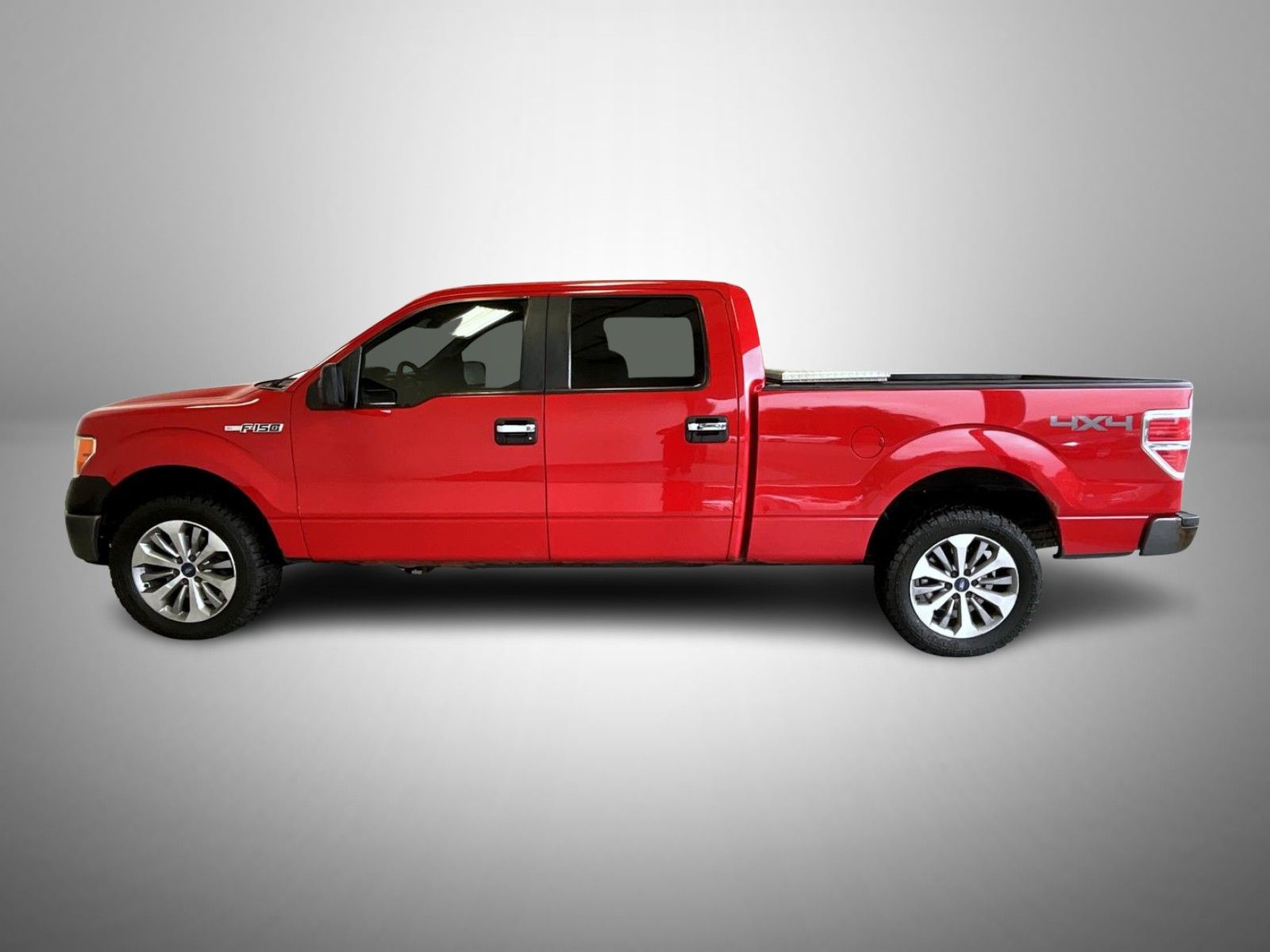 2010 Ford F-150 FX4 photo 8