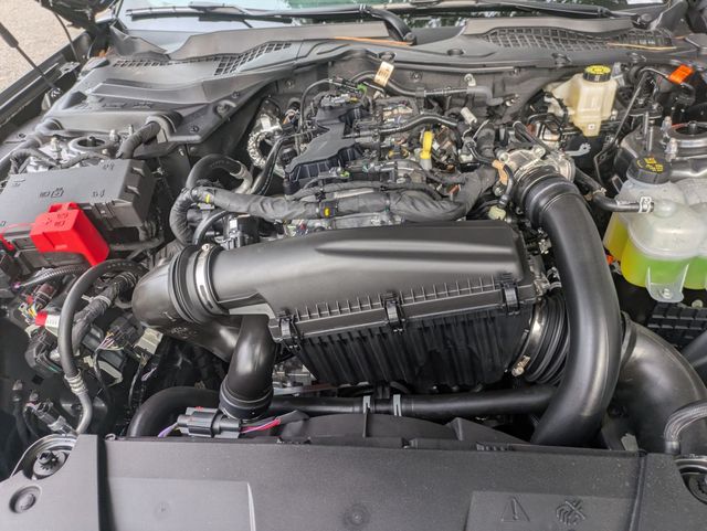 2025 Ford Mustang EcoBoost photo 10