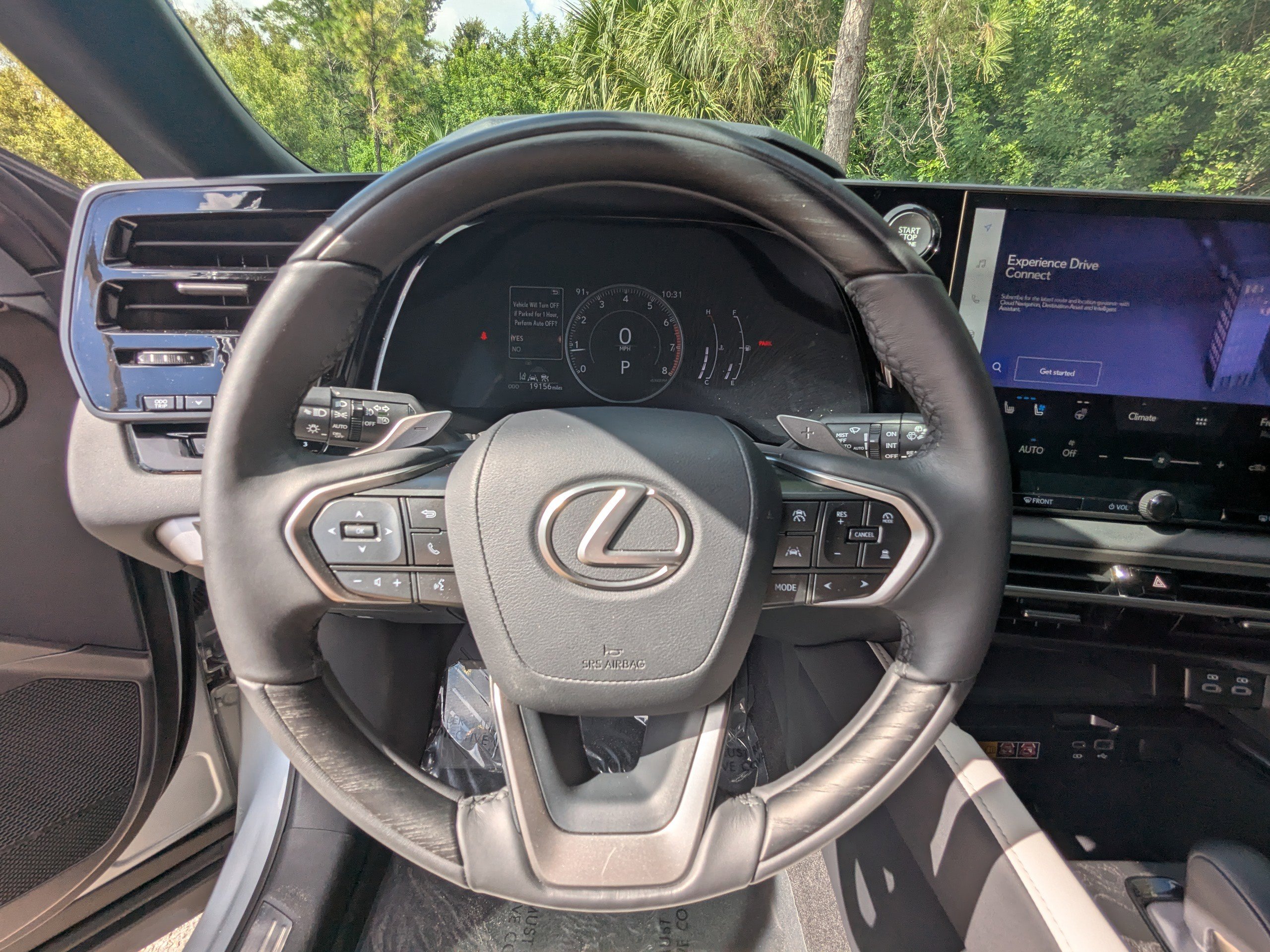 2024 Lexus RX 350 photo 37