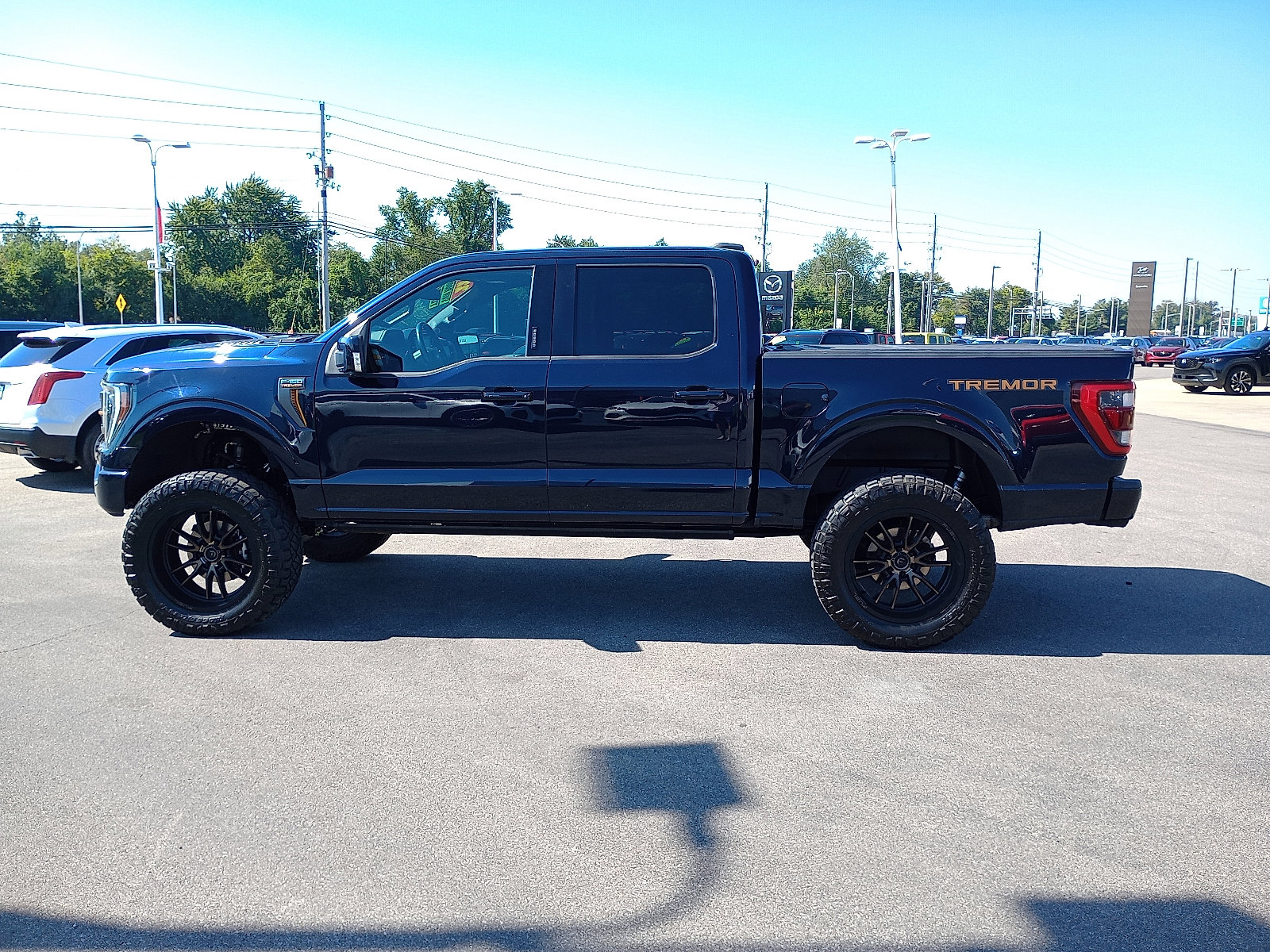 2022 Ford F-150 Tremor photo 4