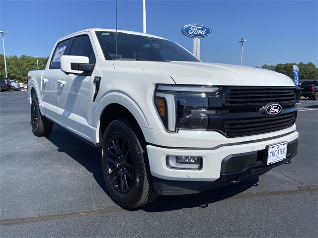 2025 Ford F-150 Platinum photo 29