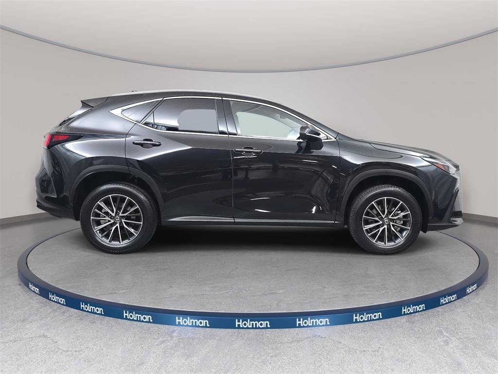 2025 Lexus NX 350h Premium photo 3