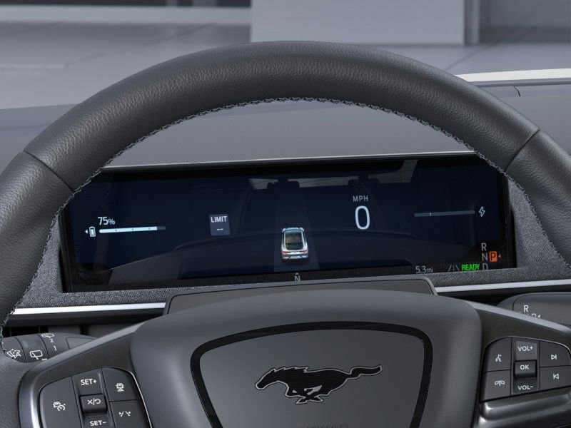 2025 Ford Mustang Mach-E GT photo 12