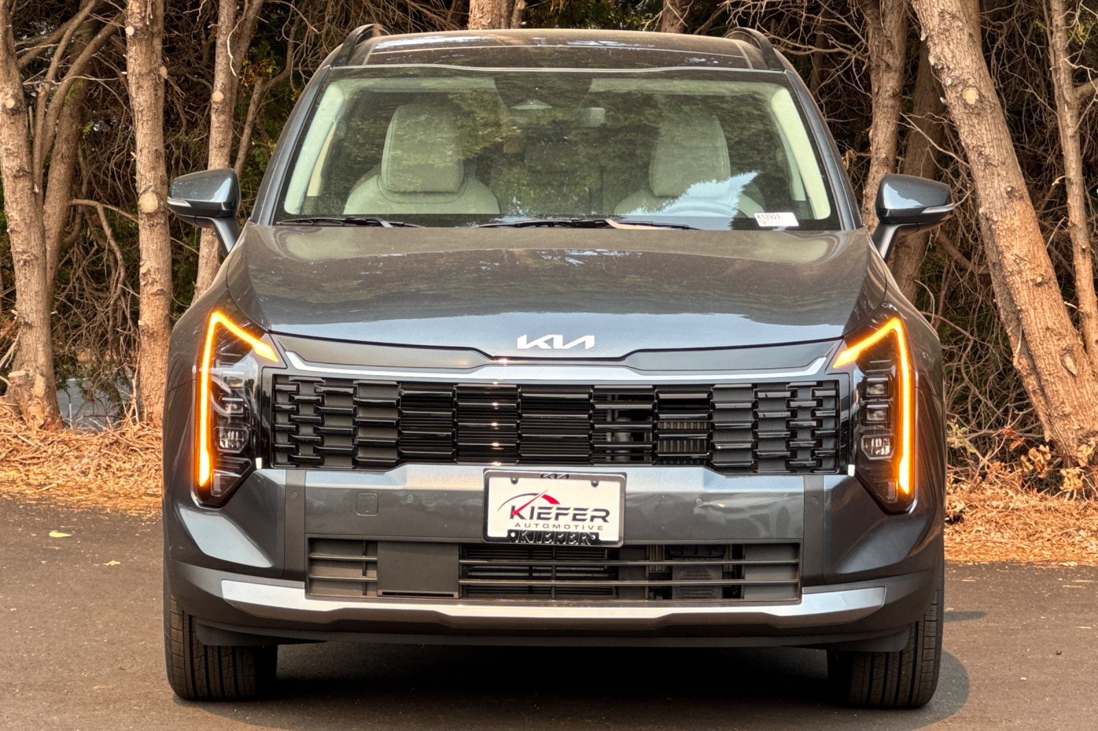 2026 Kia Sportage Hybrid EX photo 4
