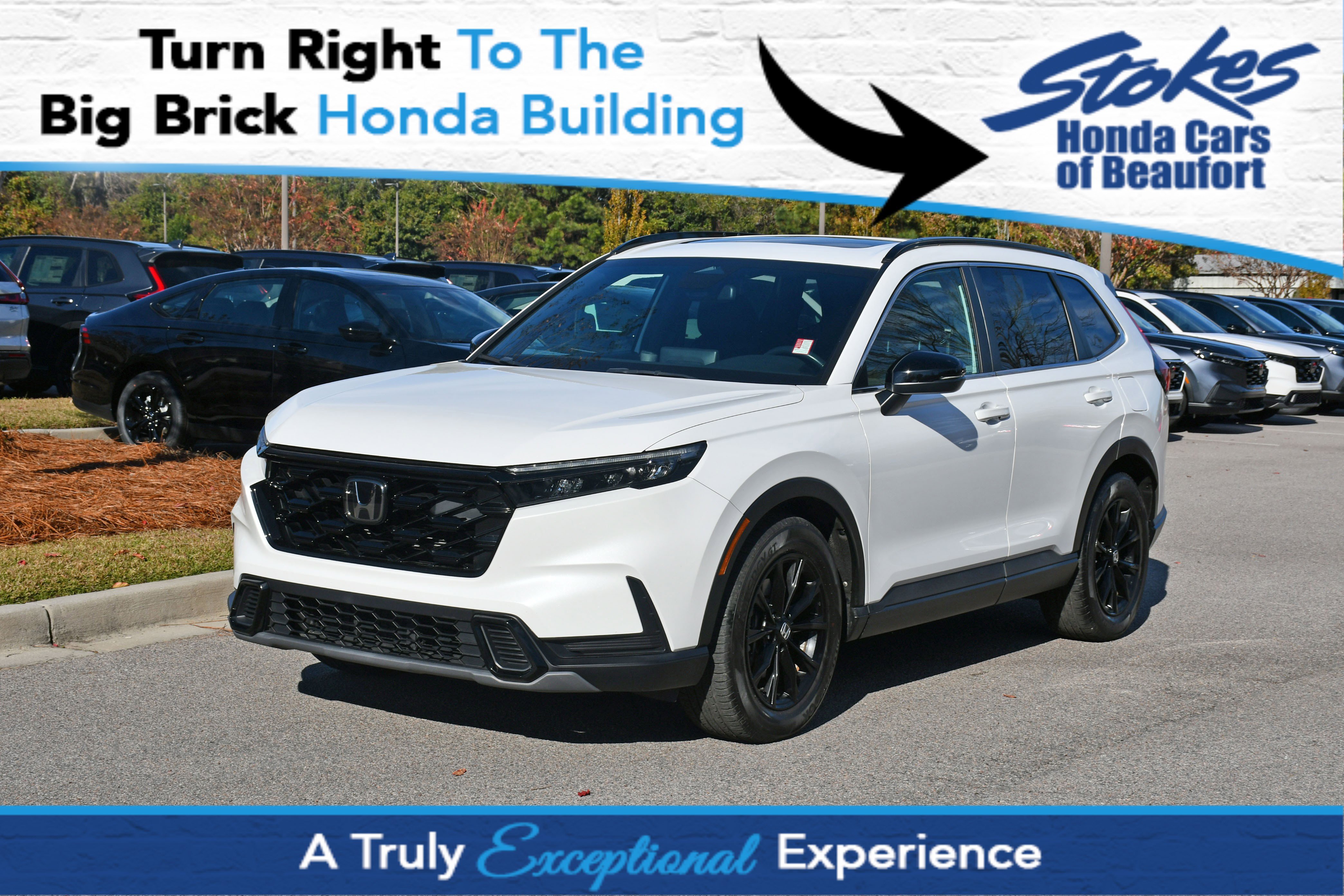 2023 Honda CR-V Sport's photo