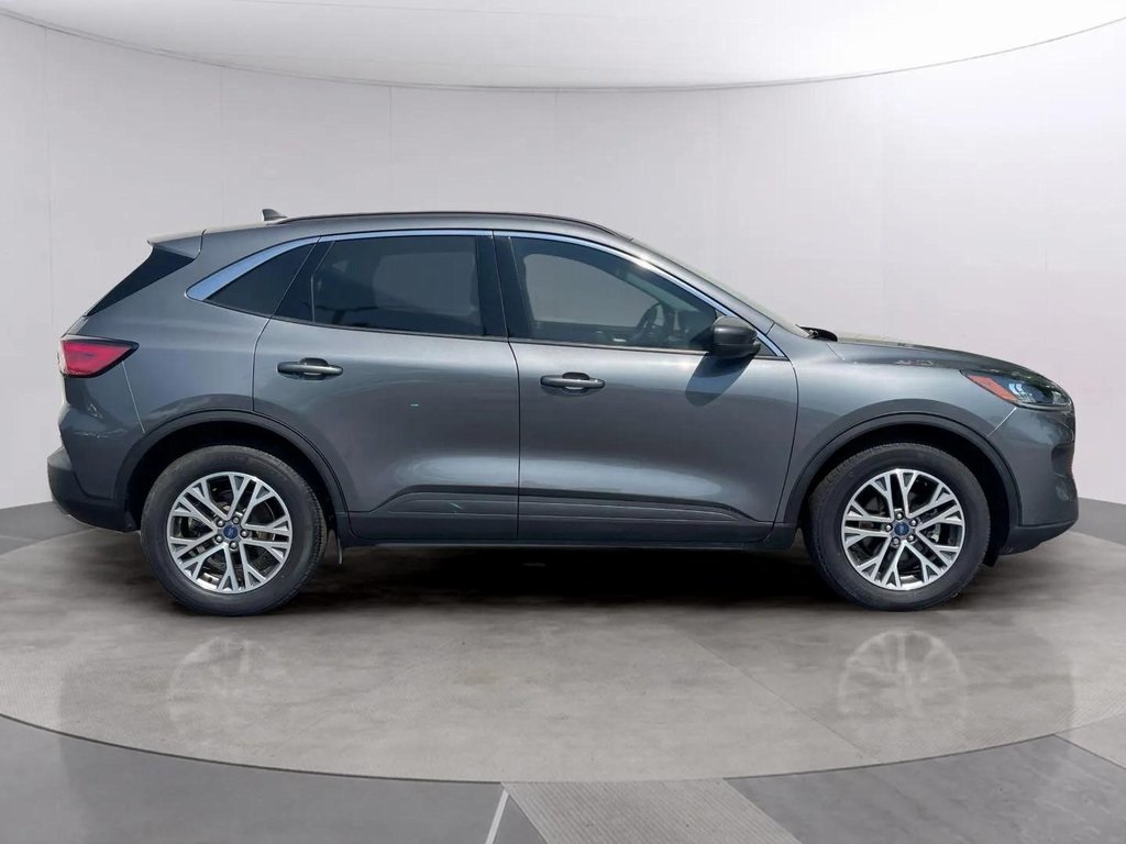 2022 Ford Escape SEL photo 6
