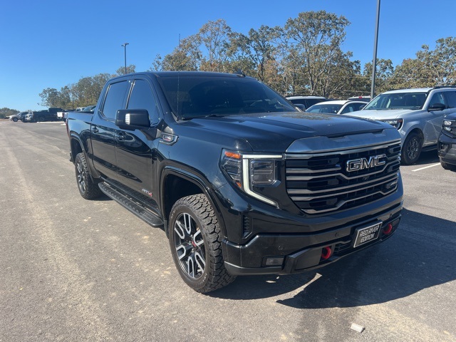 2022 Gmc Sierra 1500 AT4 photo 4