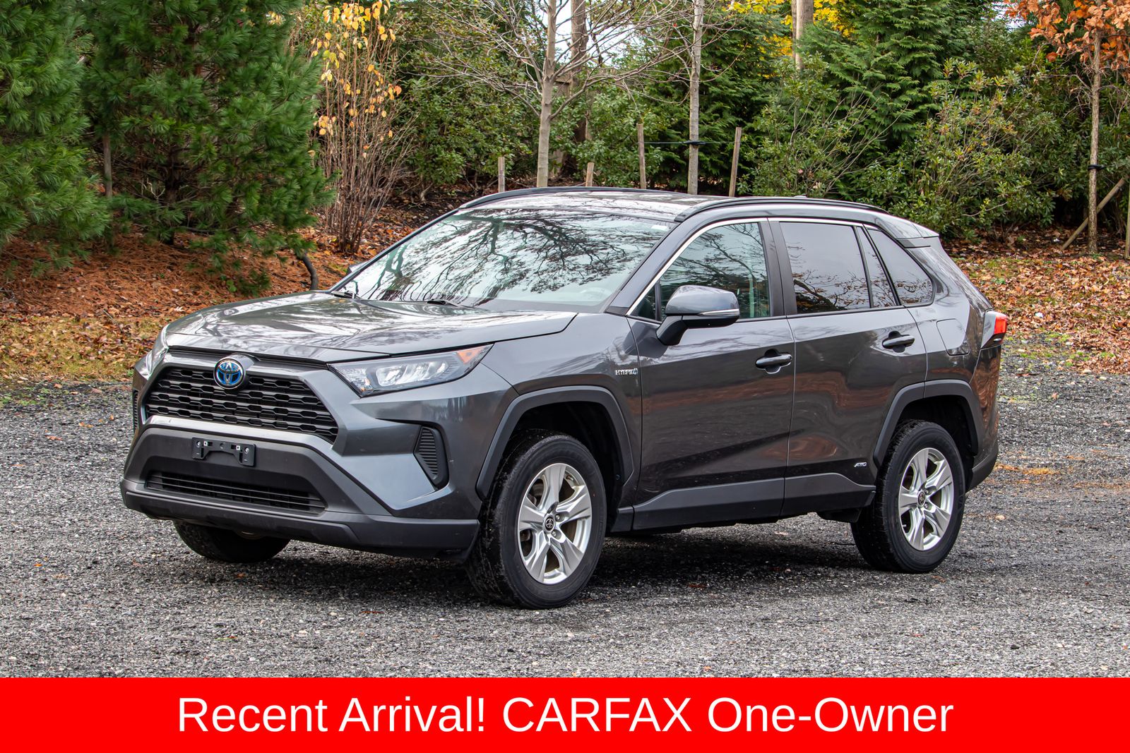 2021 Toyota RAV4 LE's photo