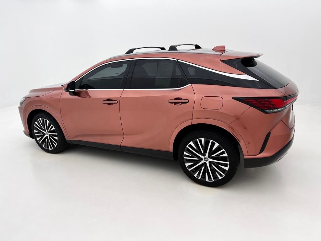 2024 Lexus RX 350 Premium photo 13