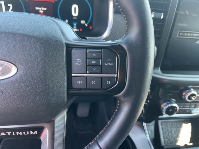 2023 Ford F-150 Platinum photo 15