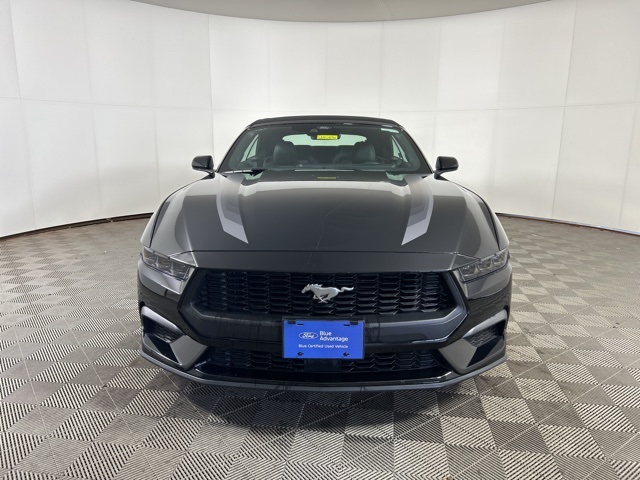 Certified 2025 Ford Mustang EcoBoost Premium with VIN 1FAGP8UH8S5119936 for sale in Shakopee, Minnesota