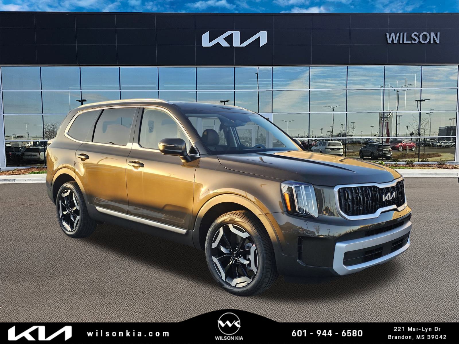 2025 Kia Telluride EX's photo