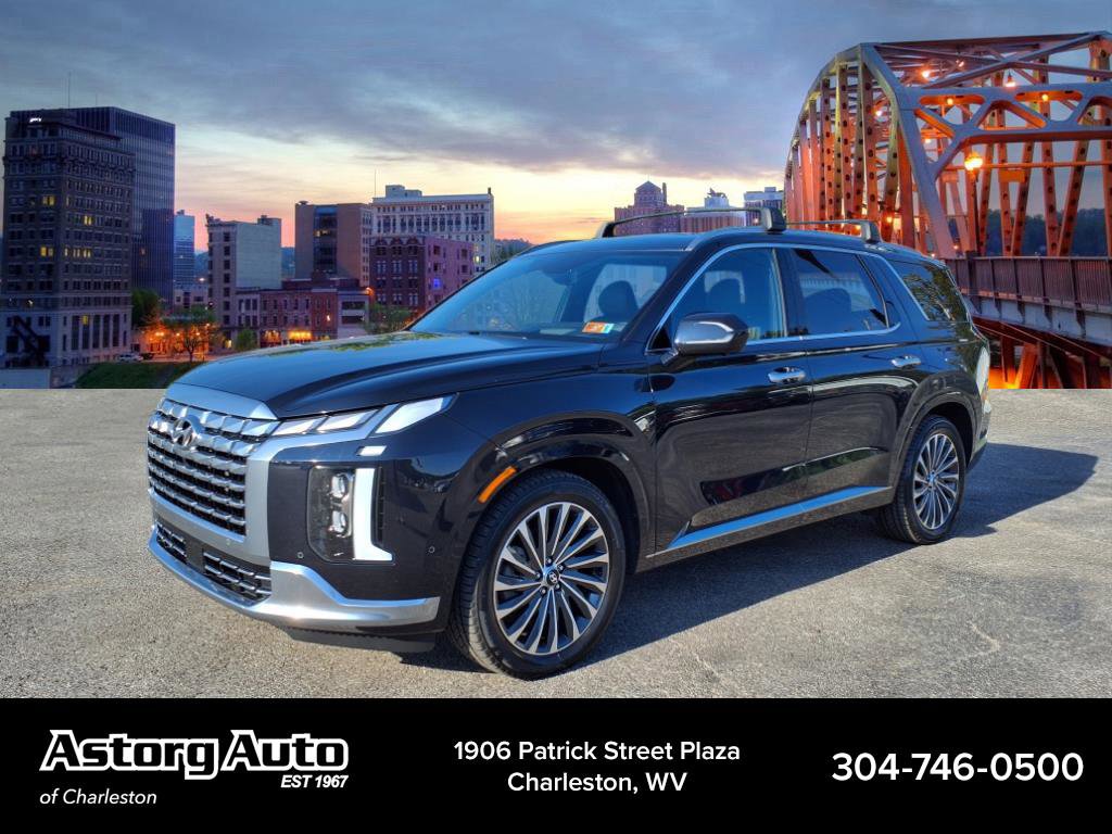 2024 Hyundai Palisade Calligraphy photo 3