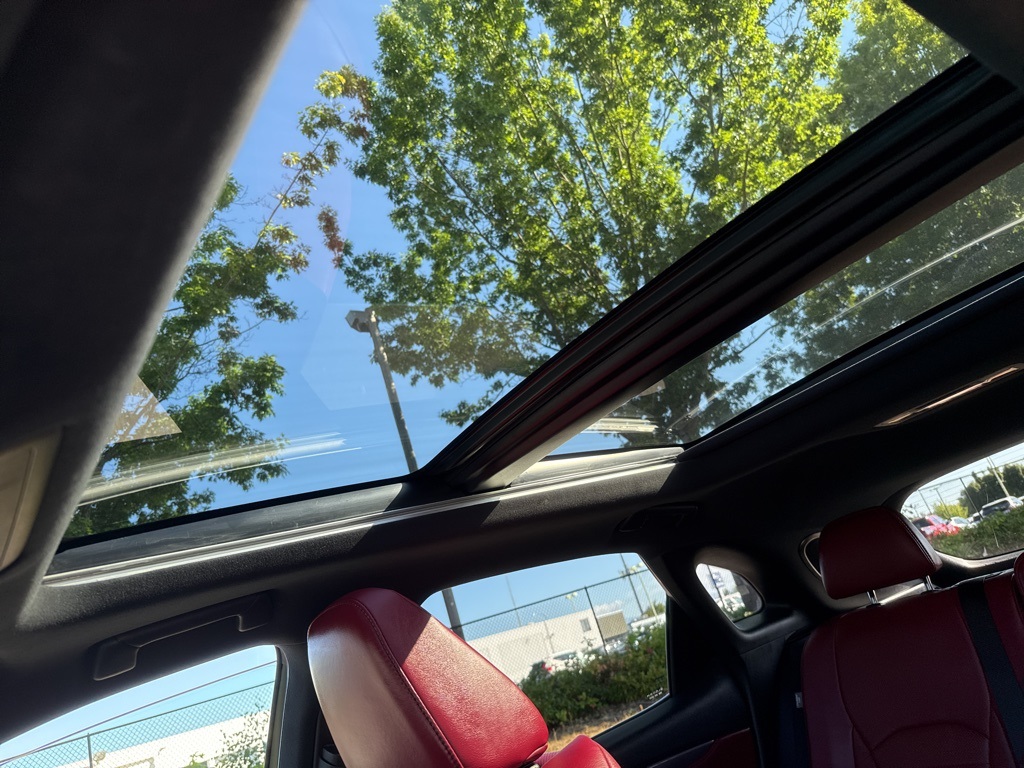 2019 Lexus RX 450h F SPORT photo 54