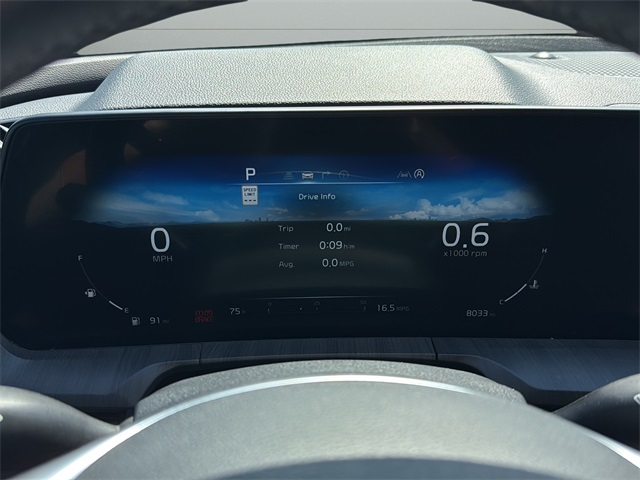 2024 Kia Telluride SX photo 13