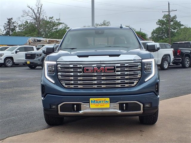 2025 Gmc Sierra 1500 Denali photo 5