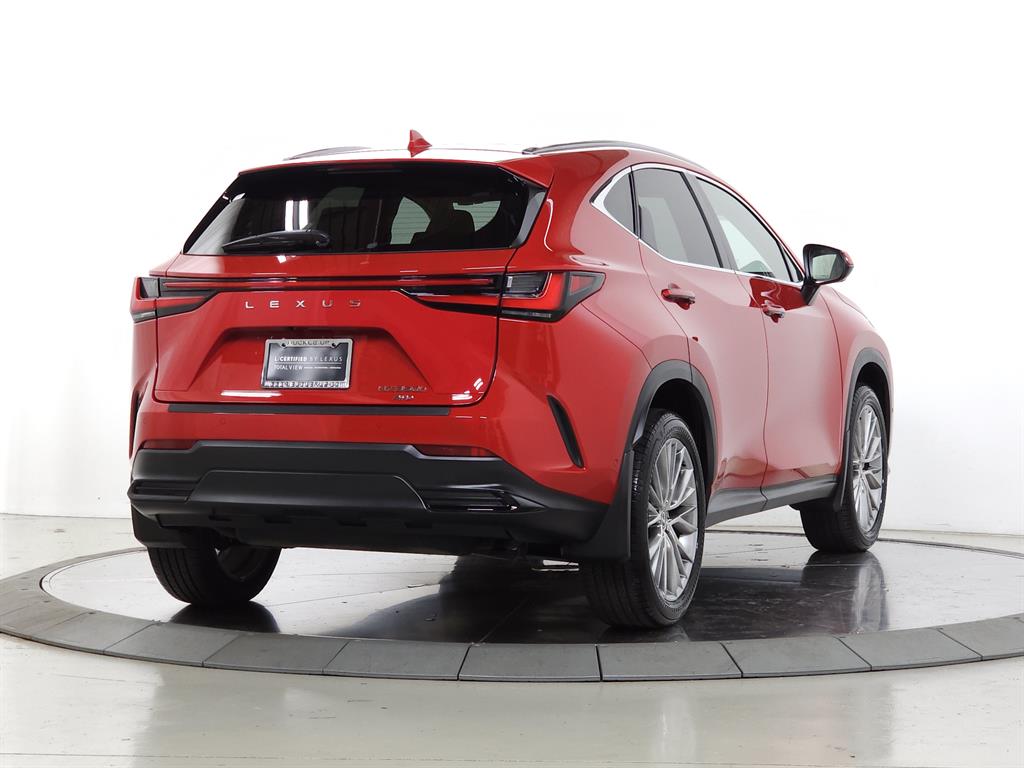 2025 Lexus NX 350h Luxury photo 9