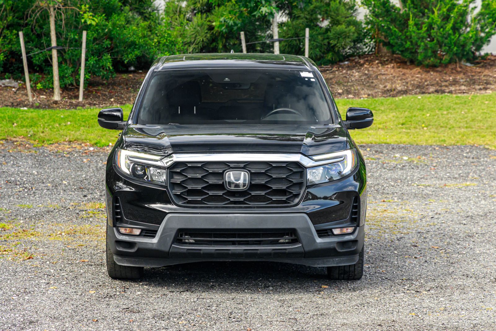 2022 Honda Passport EX-L photo 2