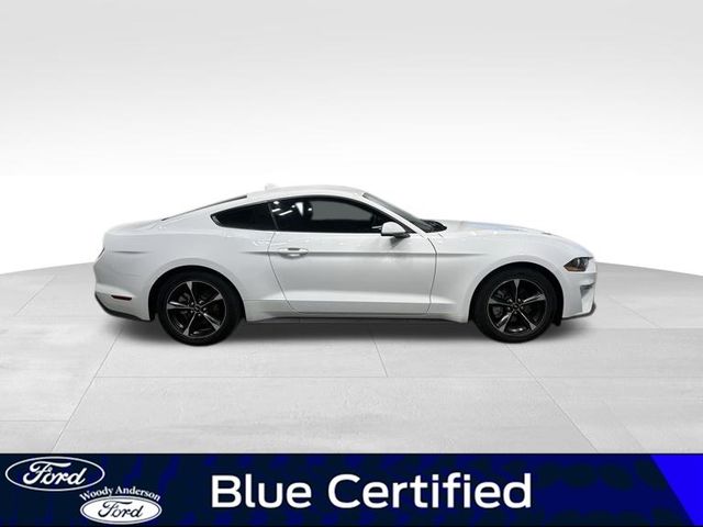 2023 Ford Mustang EcoBoost photo 4