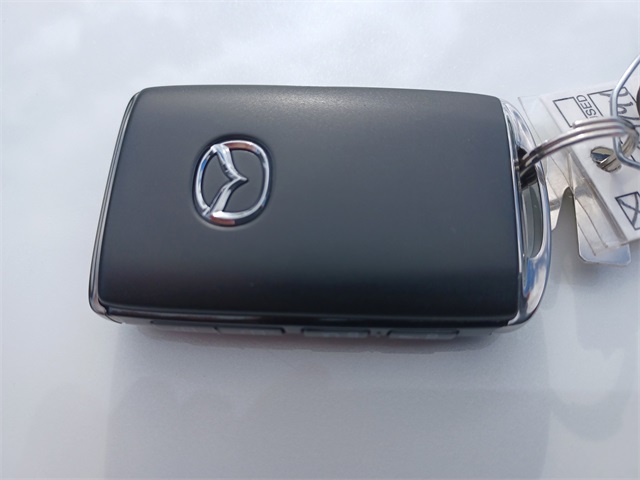 2025 Mazda Mazda3 2.5 Turbo Premium Plus photo 11