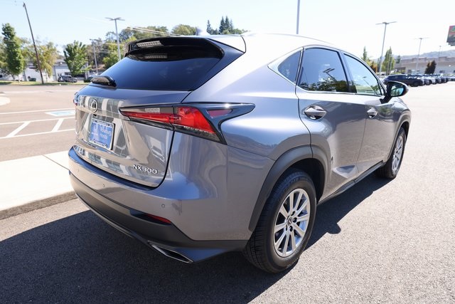 2019 Lexus NX 300 Luxury photo 2